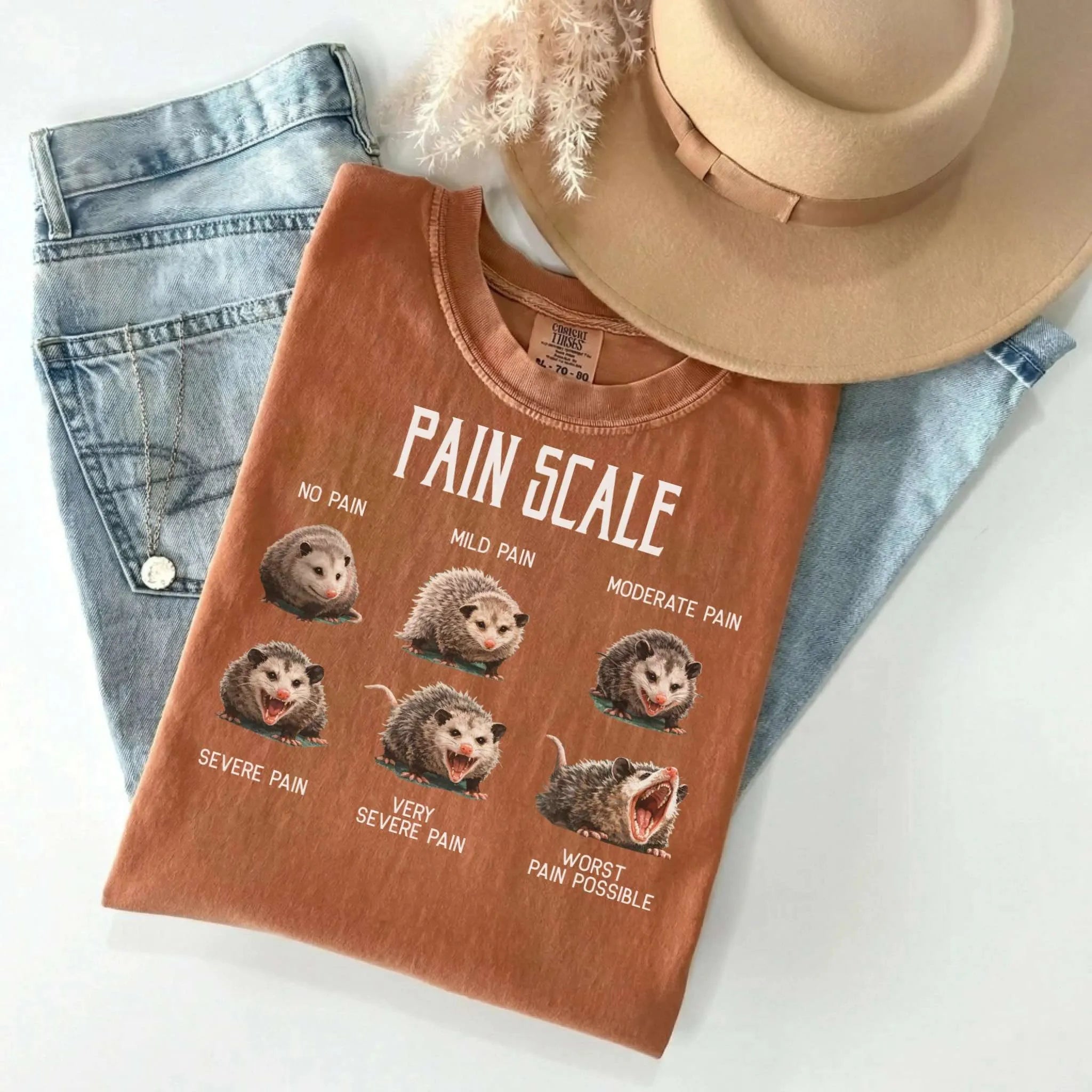 Pain Scale Opossum Comfort Colors Tee