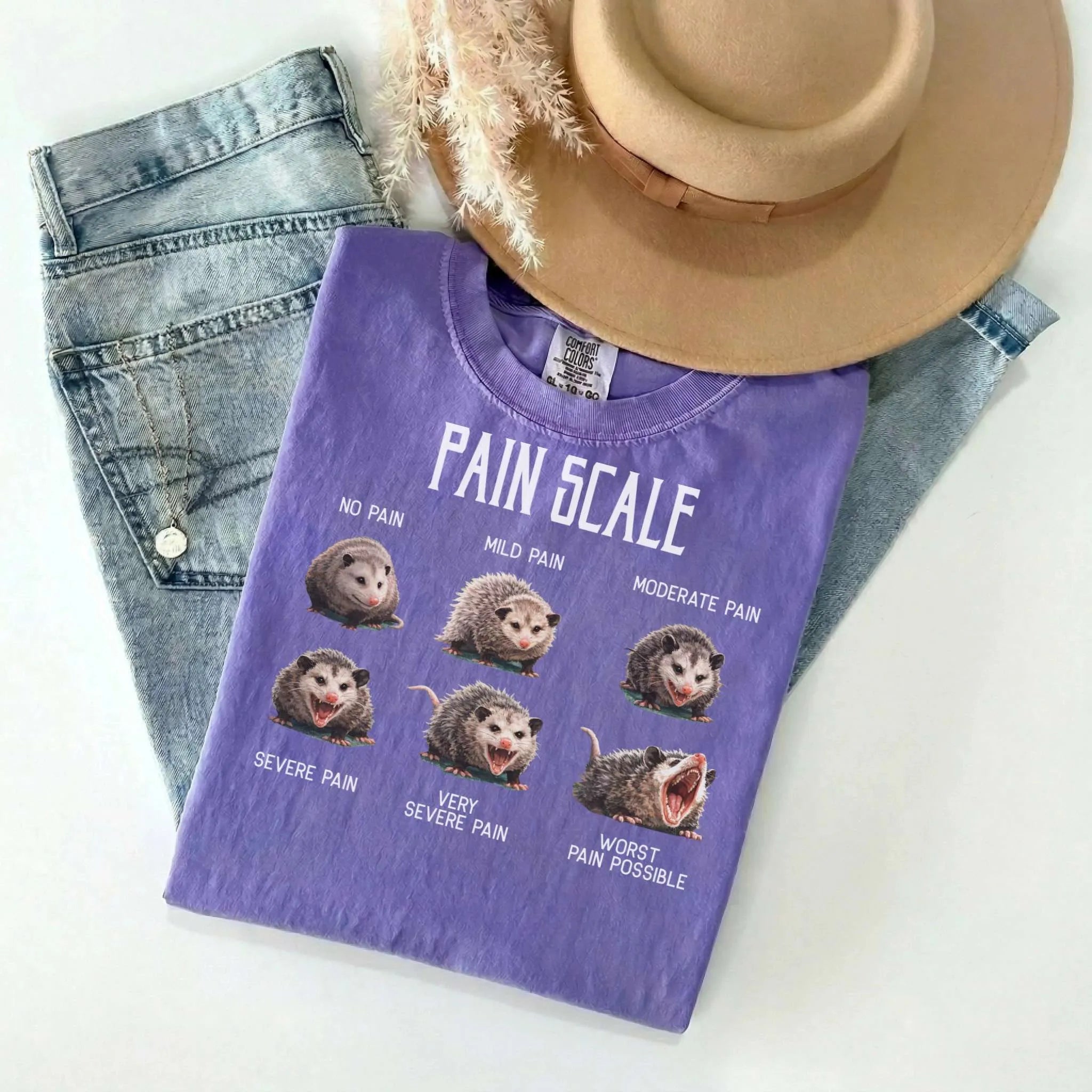 Pain Scale Opossum Comfort Colors Tee