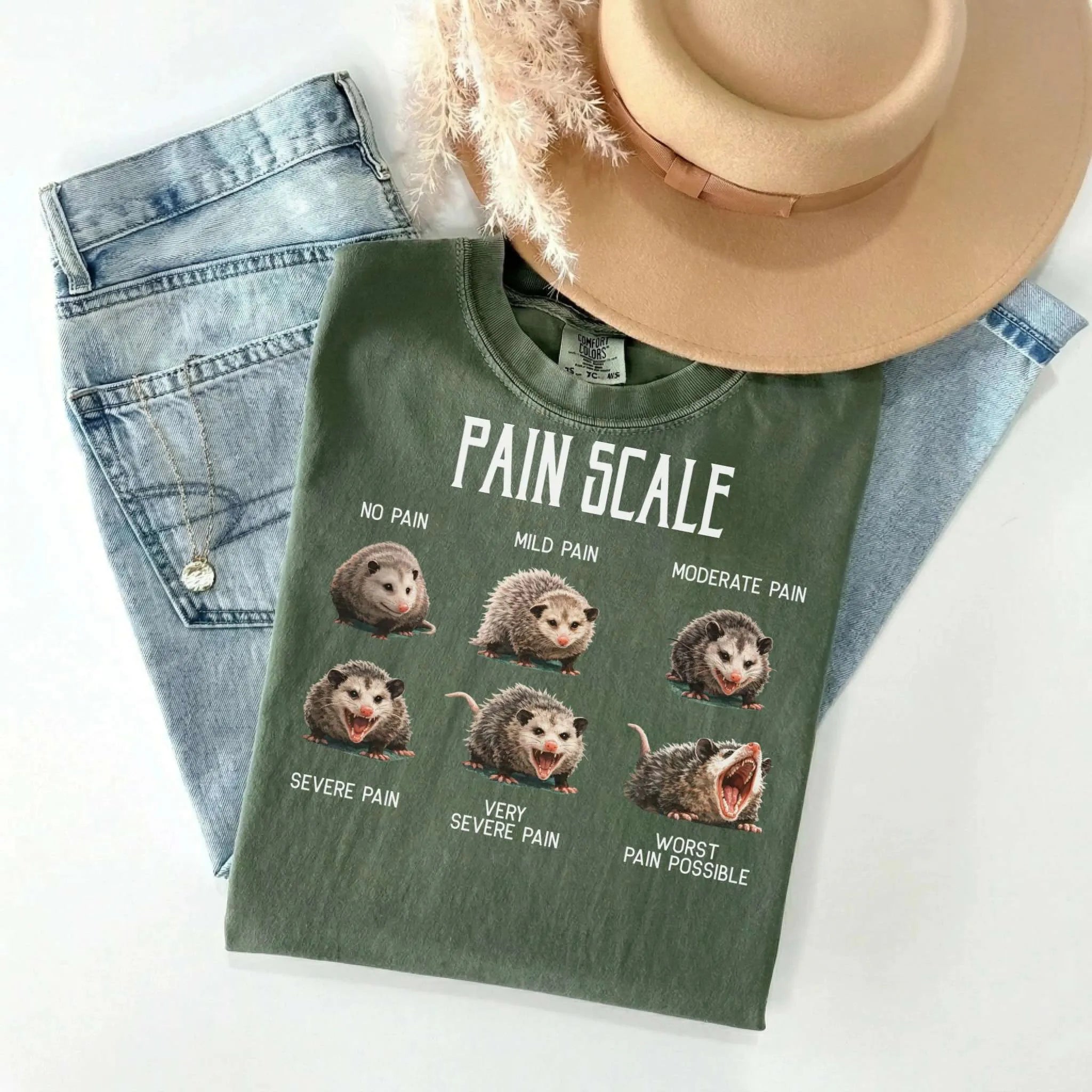 Pain Scale Opossum Comfort Colors Tee