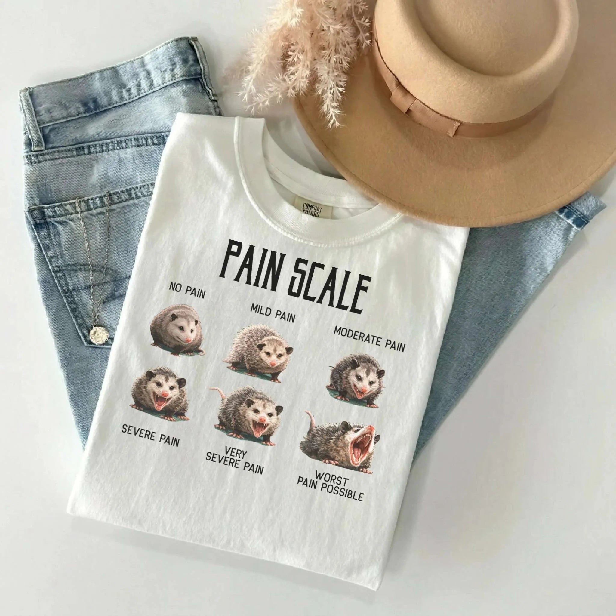 Pain Scale Opossum Comfort Colors Tee