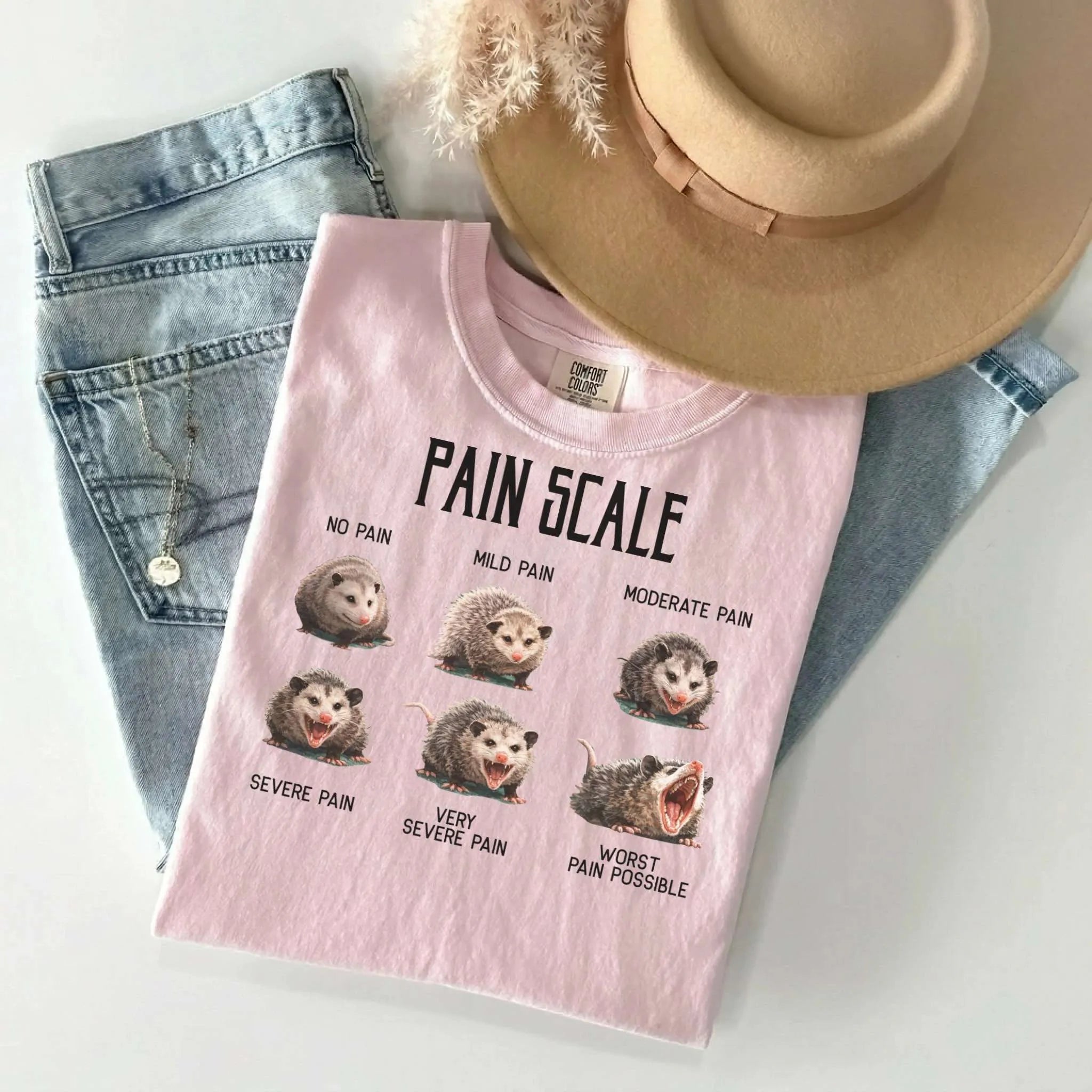 Pain Scale Opossum Comfort Colors Tee