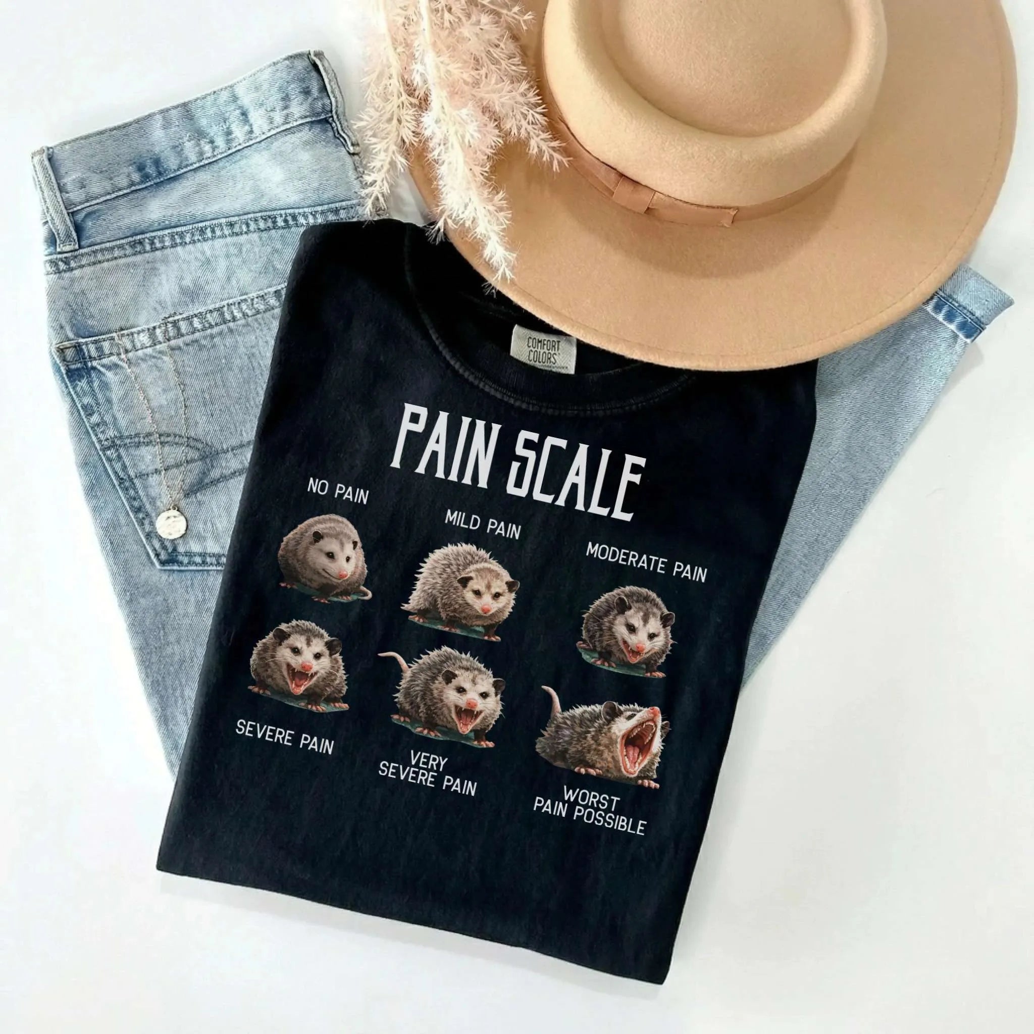 Pain Scale Opossum Comfort Colors Tee