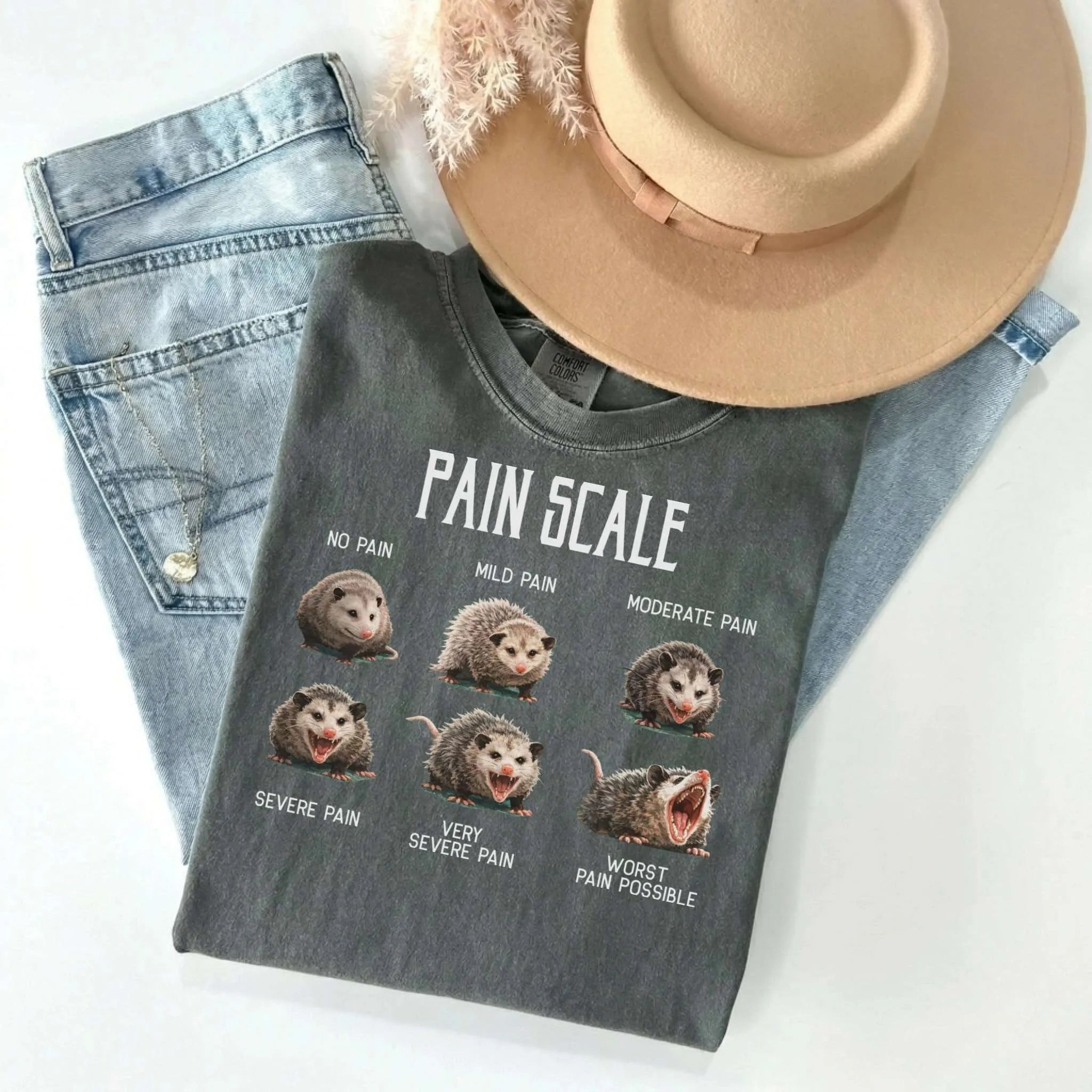 Pain Scale Opossum Comfort Colors Tee