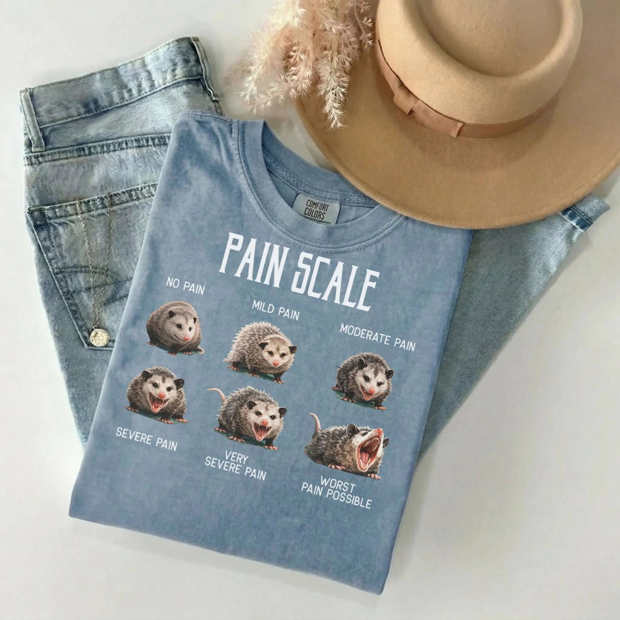 Pain Scale Opossum Comfort Colors Tee