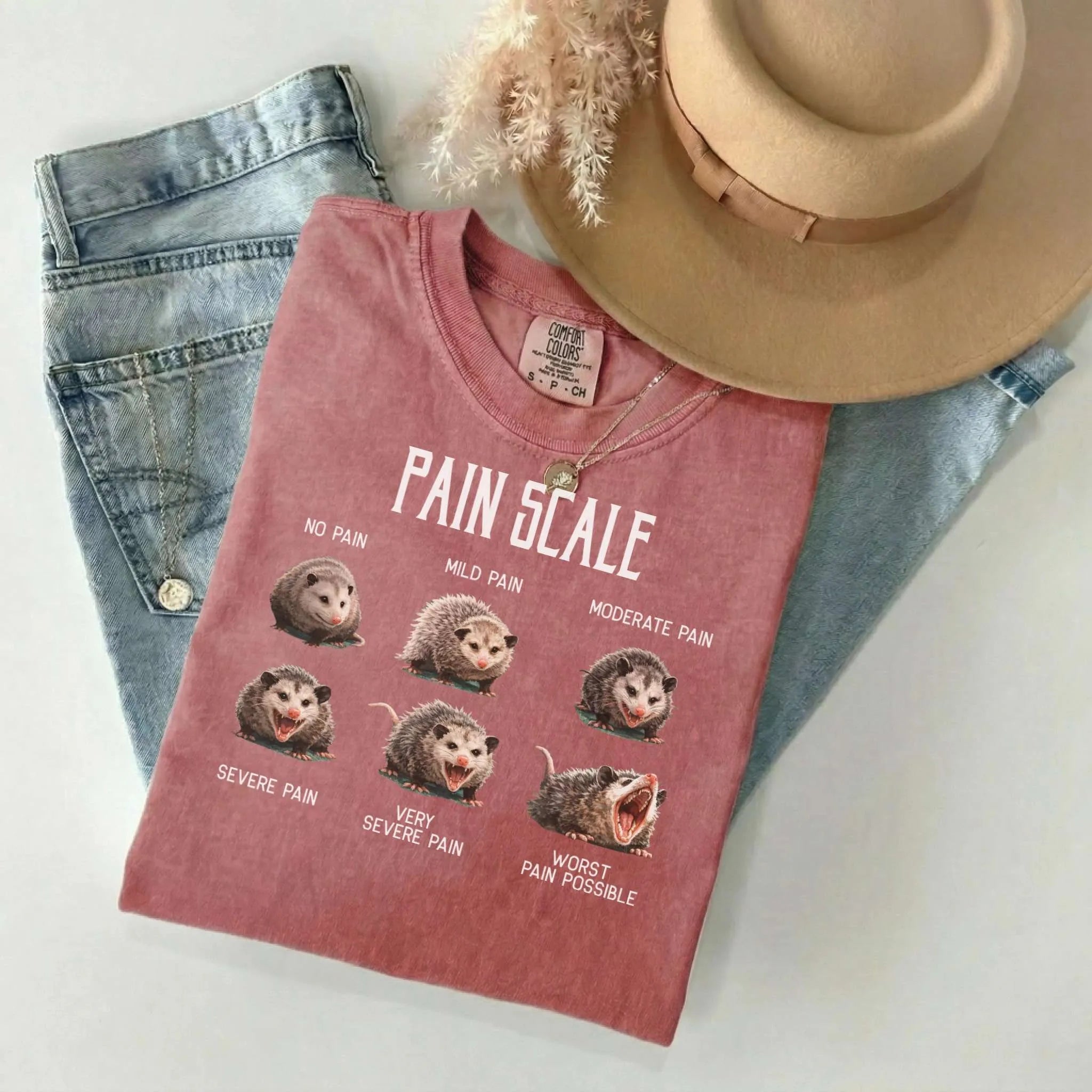 Pain Scale Opossum Comfort Colors Tee